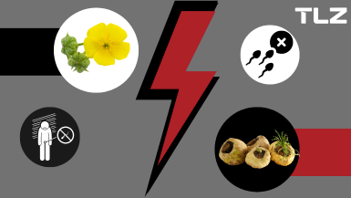 Power Duo: Tribulus Terrestris und Maca-Wurzel